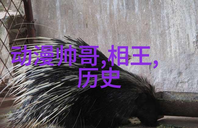 神话故事有哪些20个-揭秘古老传说探索世界上最著名的20个神话故事
