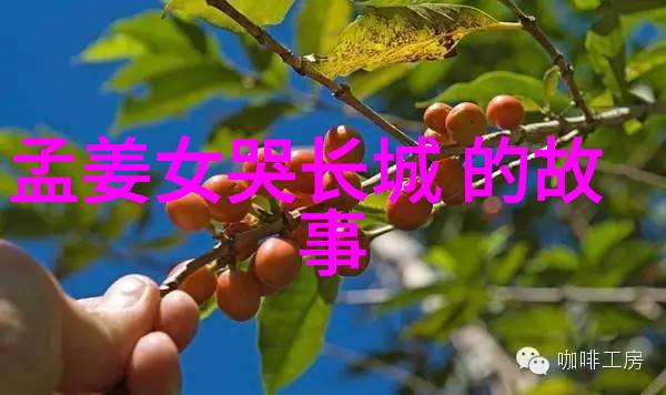 韩王安与中国男足球员共赏山水之美公元前226年