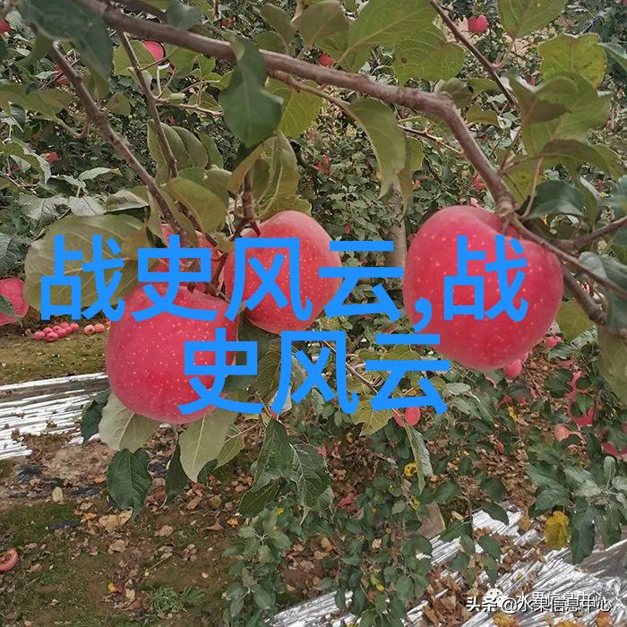 神话故事百宝箱揭秘传说中的奇迹与勇士