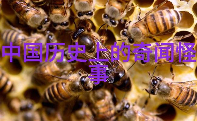 人物故事月下孤舟