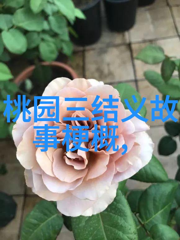 春秋战国至三国两晋南北朝一路走来探寻十二位极强君主背后的故事