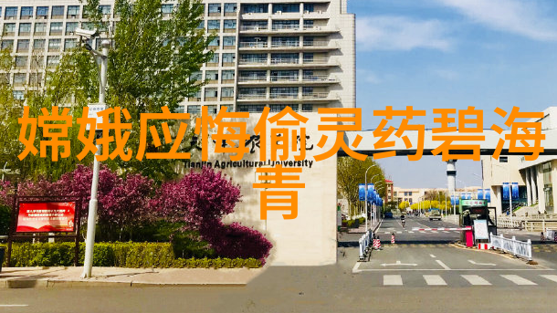 古韵悠长邯郸记忆中的织女与织男