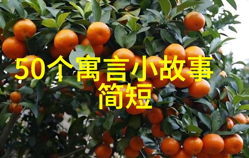 古代的智者与天书神秘之旅