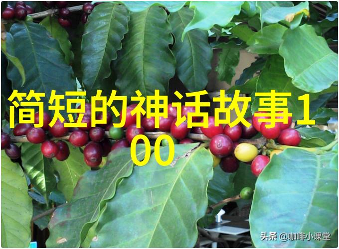 一夫多妻-共享爱情的秘密探索多配偶关系中的不吃醋之谜