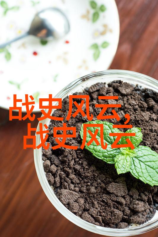 端悯固主清朝建立者之女命运多舛的7岁公主皇帝为她建造了一个非凡的陵墓而这只是对她的深切怀念和尊敬的一