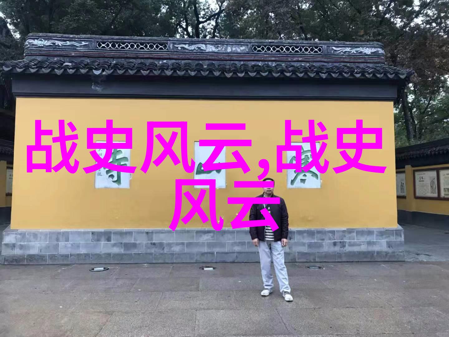 反复提及的近代名人军事巨擘张伯驹四位杰出的公子之首