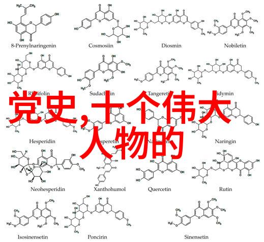 中国古代爱情传奇宋徽宗与李师师的秘密约会