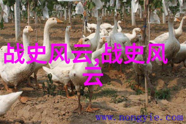 神话故事精选探索传说世界的奇迹与传奇真实神话故事集