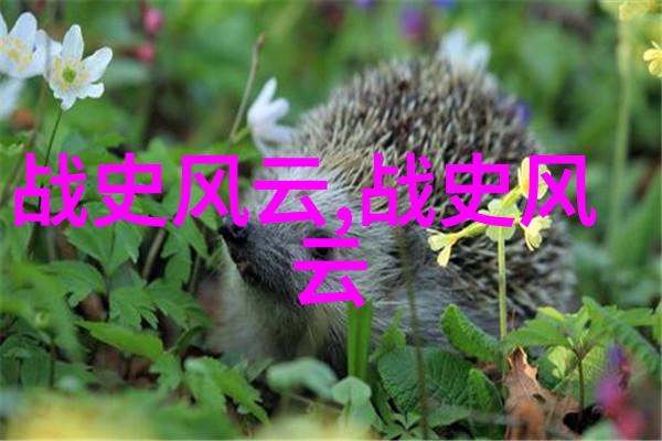 魔法鸟的传说南美洲原住民对自然力量的敬畏