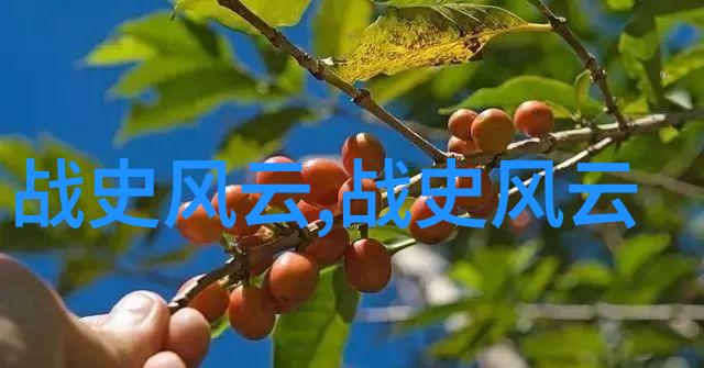 明朝历代帝王盛衰变迁监察与司法的历史舞台