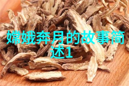 全真龙门派二十四代传人史为民在天京保卫战中以勇猛武艺震惊一方