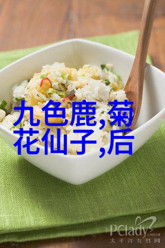 秦桓公中国历史朝代详细表中的人物