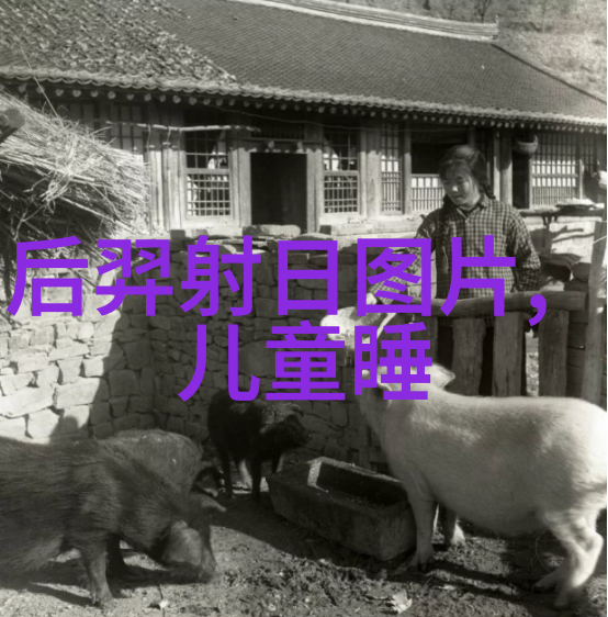 机智的吕布三国野史中的策略大师
