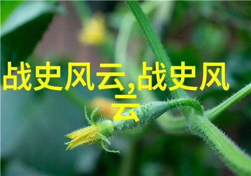 农村情侣电动车野战狂欢一夜我们一起撞墙跳坑的疯狂冒险