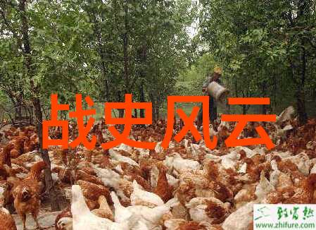 中国古代名医传奇张仲景药剂术语解读