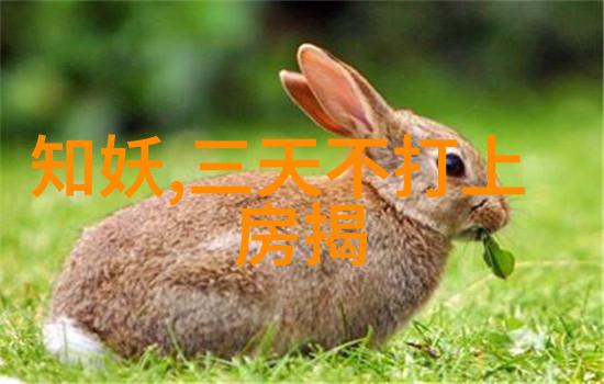 笑傲江湖的调皮小龙传统文化里的古装版哈利波特
