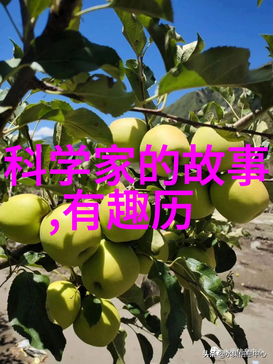 巨人族的花嫁新娘 免费观看-巨人族的花嫁新娘传说中的婚礼盛宴