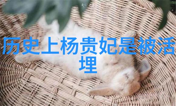 儿童睡前童话咱们的梦想之旅从星光下的森林到月亮上的花园