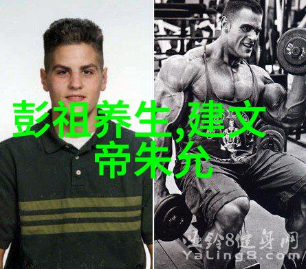 明朝的政治制度是什么样的是否有效