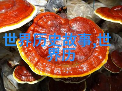 董其昌书法艺术东方先生画赞碑之明朝台湾风范如何