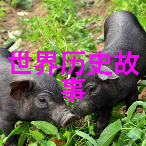 古人行房之事探究