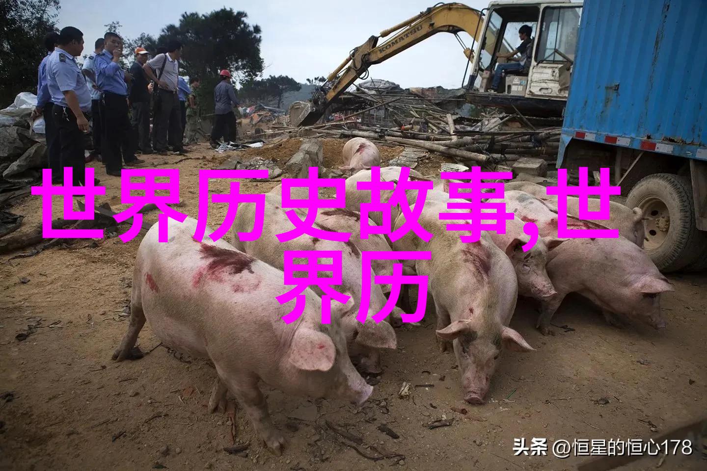 垂涎浅文案的味蕾之旅
