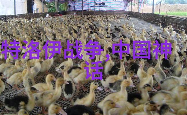 俗语谜团揭秘三字金句的智慧之门