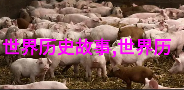 中国历史英文趣事你知道吗古时候的皇帝们其实也爱玩英语游戏