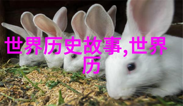 武則天後代的地位與遺產 她留給後人的不僅是權力也有什麼其他方面呢