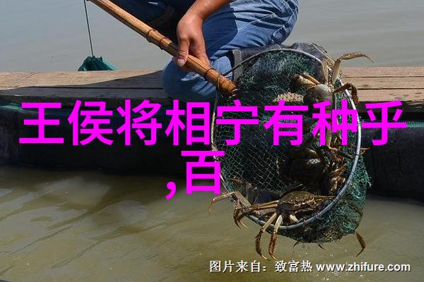在三人团队中如何平衡每个人的责任与贡献