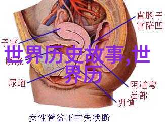 虎胆龙威一群普通士兵如何改变战争走向