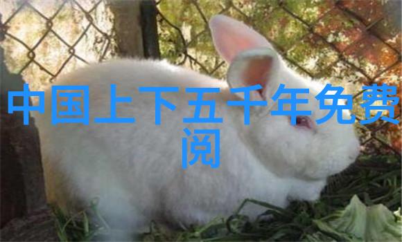 文化纹理典故篇章的绘声绘影