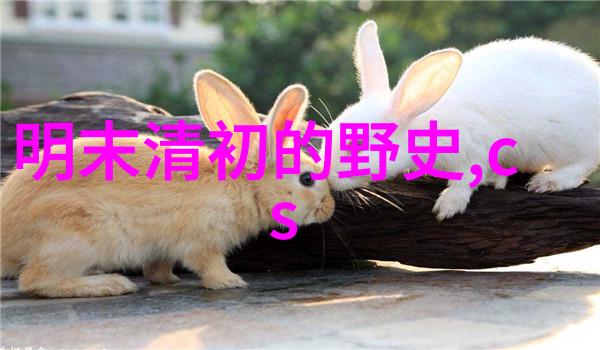 曹操全国学生体质健康标准数据管理中心集山河之广拥抱青春之光