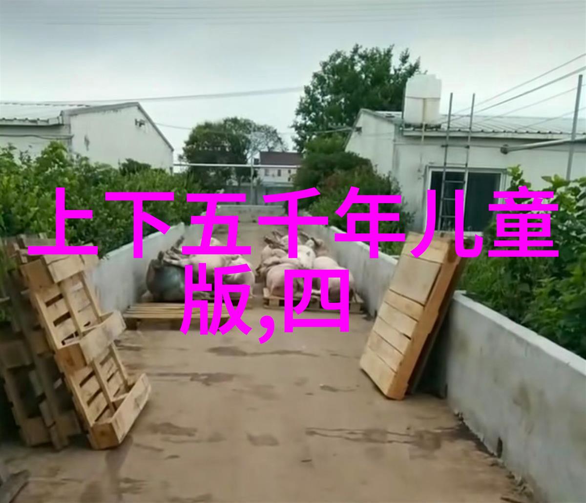 王昭君出塞的传统文化小故事一幅画中的誓言