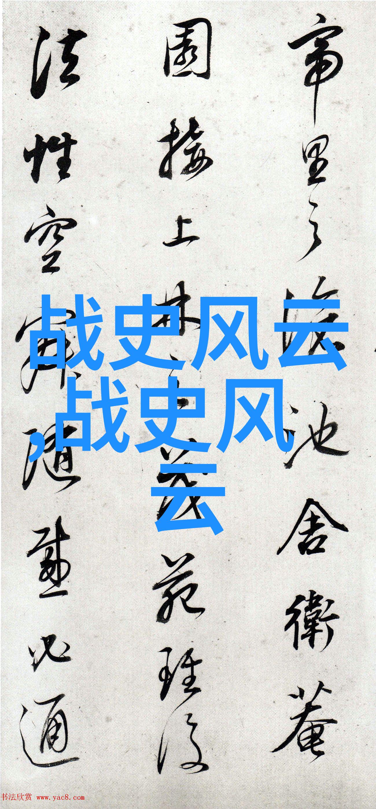 黑发如墨浓密如云探索岳的独特毛质秘密