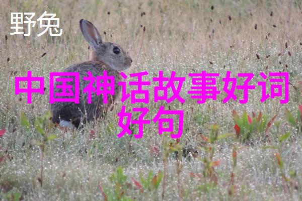 谭云龙云端翱翔的画家之王