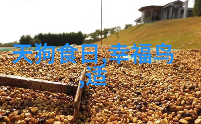 催人泪下的红色故事演讲稿我亲眼见证的红色岁月一个让人心动泪流的回忆