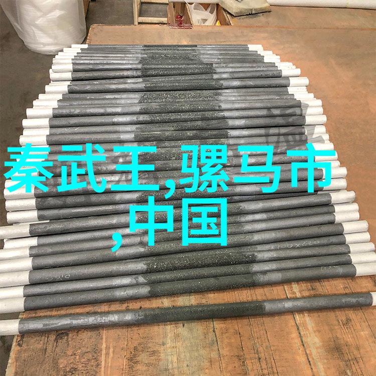 从历史到习俗解析端午节的文化内涵