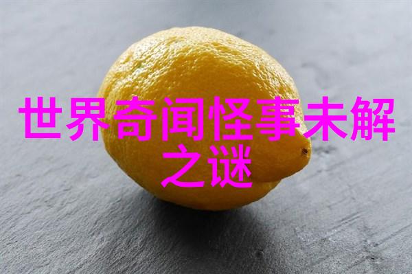 灰姑娘舞会上的魔力礼服秀场图解析