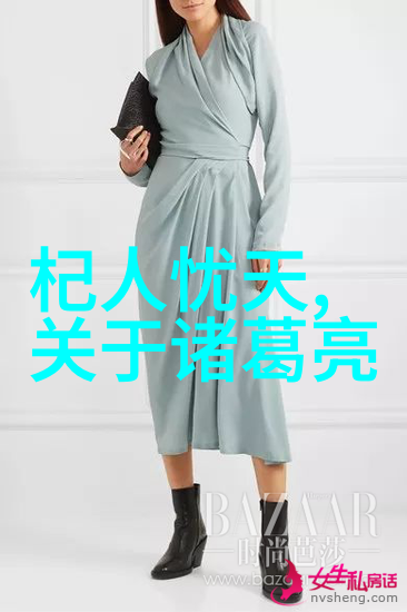 宋史中的岳飞一生事迹探究