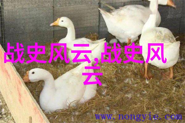 好男人资源视频我是如何在网上找到了那些完美男神的秘密