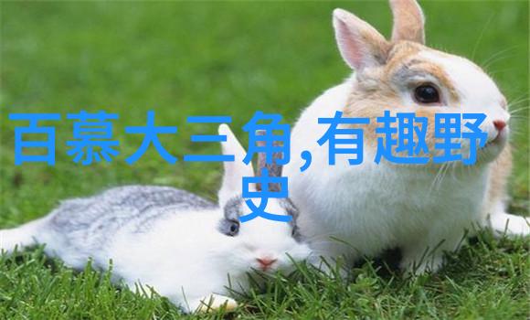70年代老恐怖片我还记得那些毛茸茸的怪兽和哆嗦声中尖叫的人们
