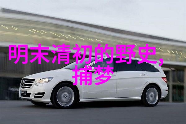 铁血小子王进喜的抗日英勇故事