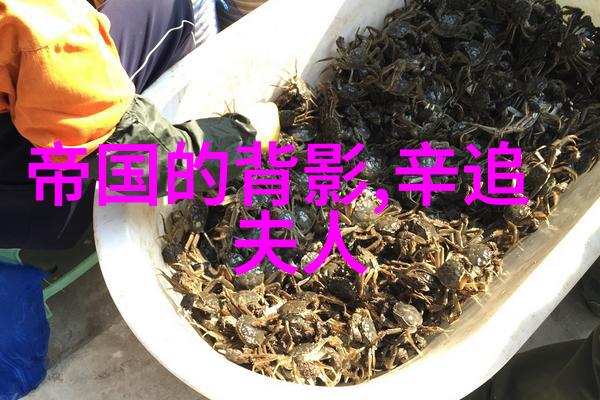 穿越时空的神话旅途探索中国神话故事集的古今往昔