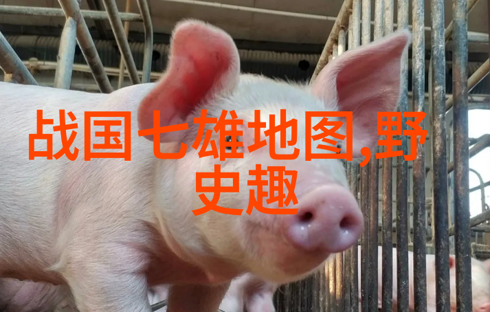 明末流寇之乱李自成的逆袭与覆灭