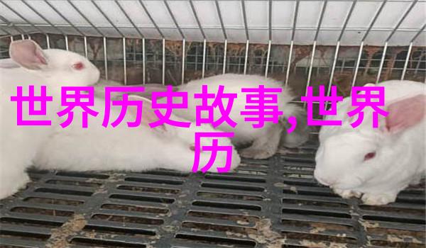 嫦娥奔月从地上到天上的美丽旅程