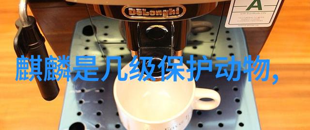 沉默的守望者拉贝尔沙班和他孤独的抗日之旅