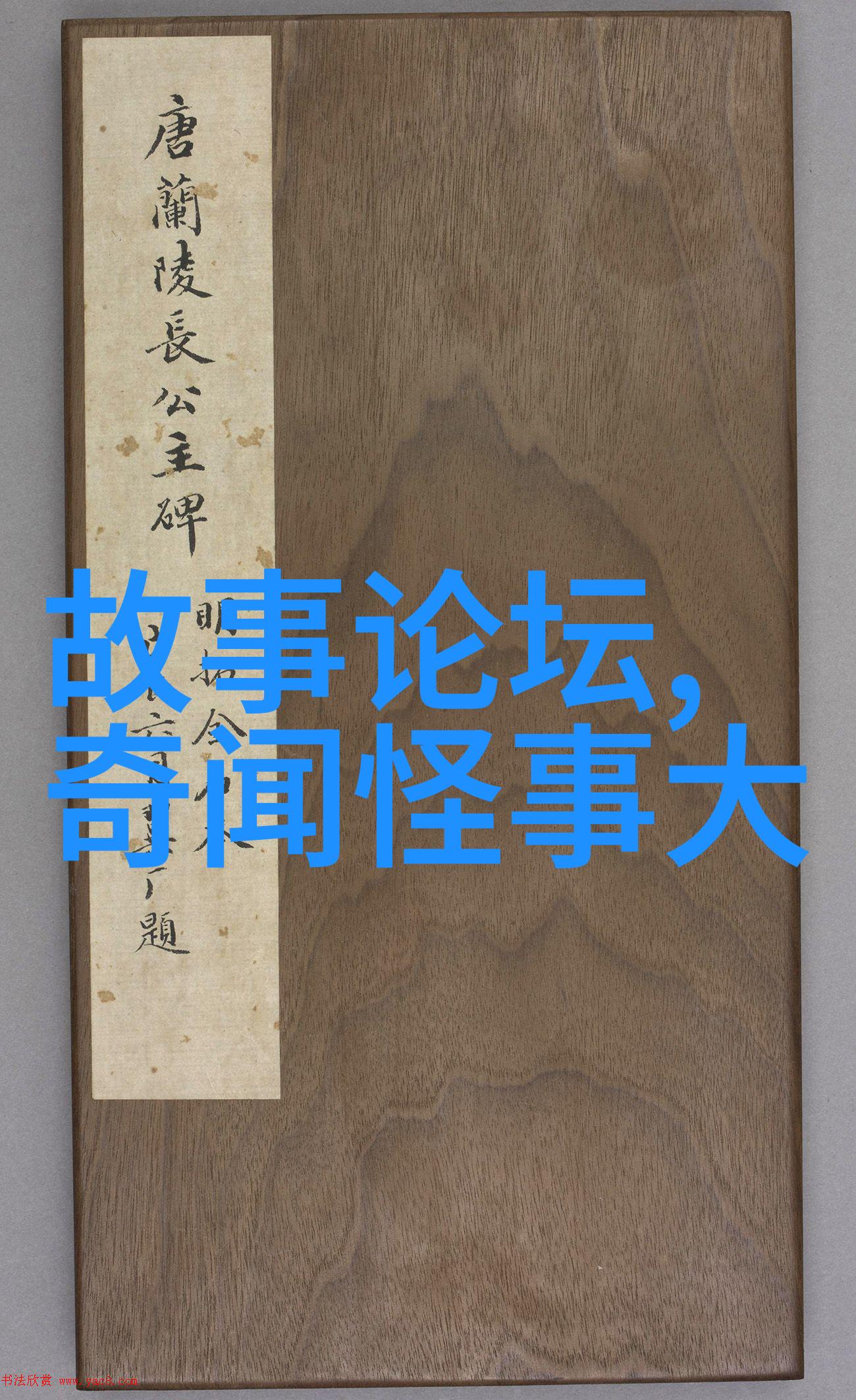 2023年新闻趣事回顾笑料满天的时尚年代