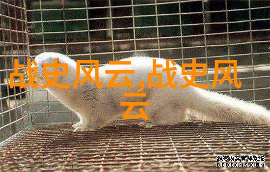 孙悟空为何能一夜之间搬运五行山石