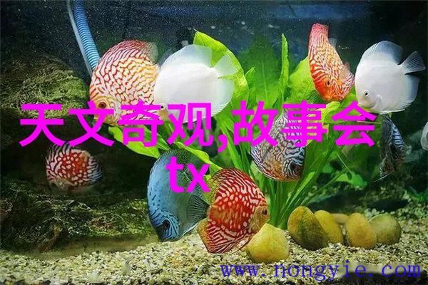 东方朔巧取天上星辰
